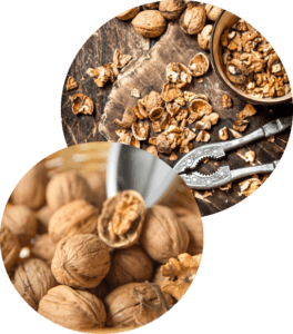 Whole walnut shells and crushed walnut shell media showing natural source for surface finishing